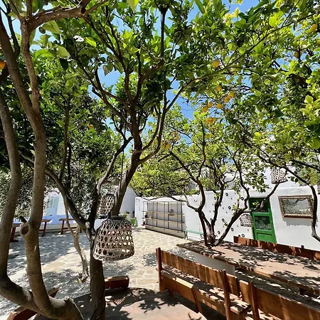 ماتويياني فندق